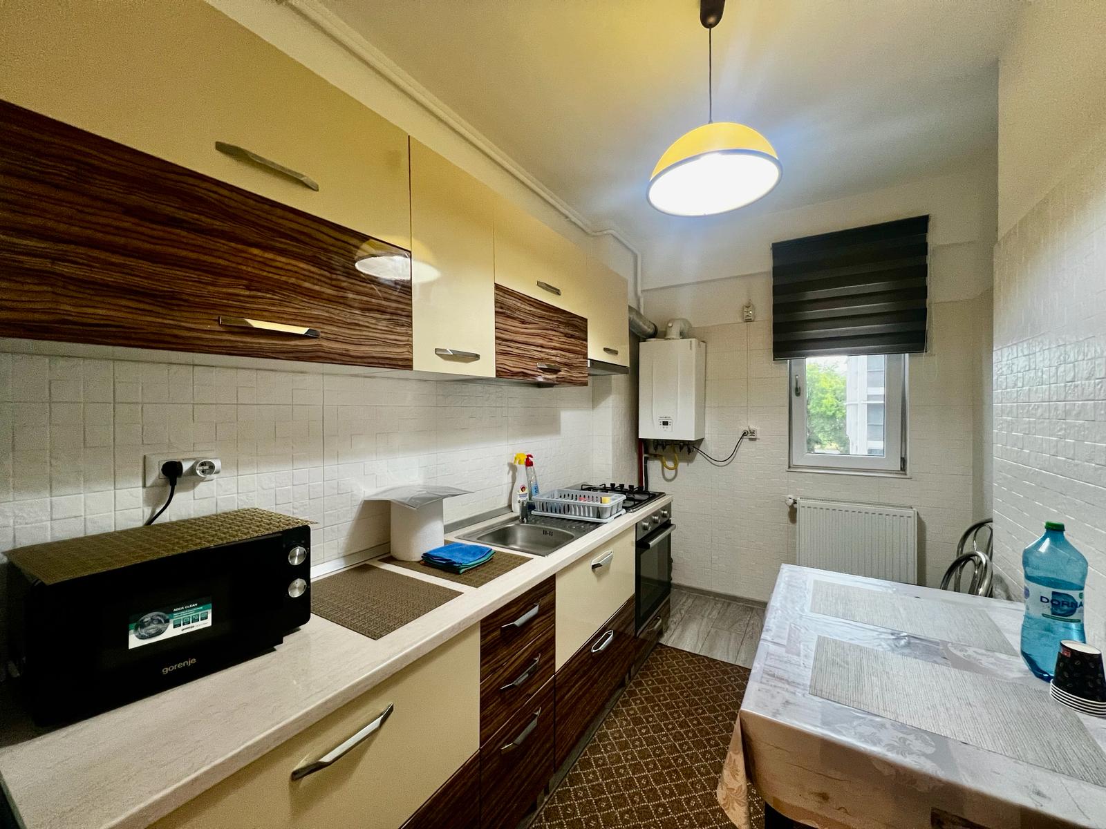 Apartament de inchiriat cu o camera in Iasi, zona Centru - Poza 5
