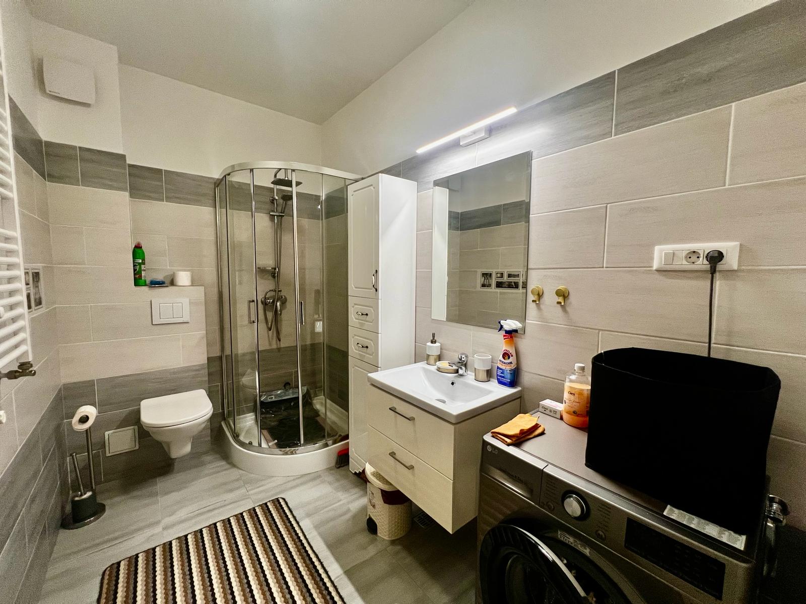 Apartament de inchiriat cu o camera in Iasi, zona Centru - Poza 11