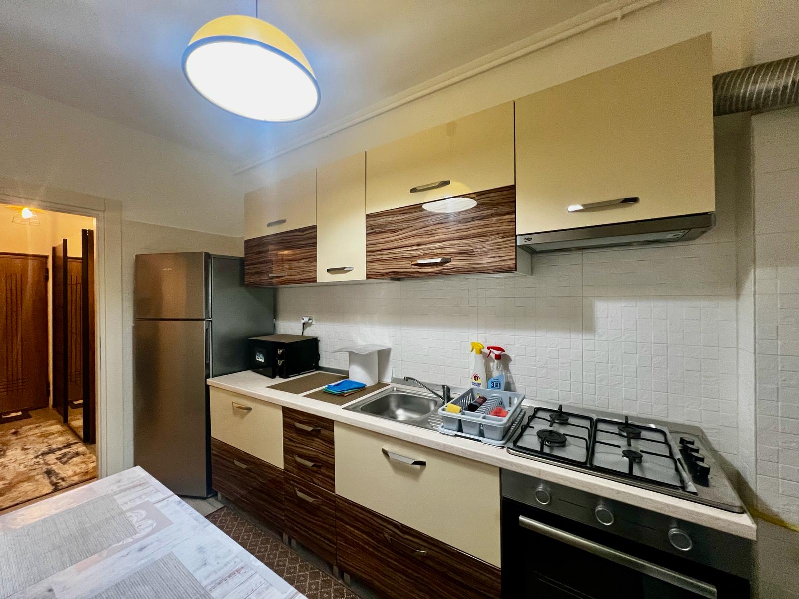 Apartament de inchiriat cu o camera in Iasi, zona Centru - Poza 6
