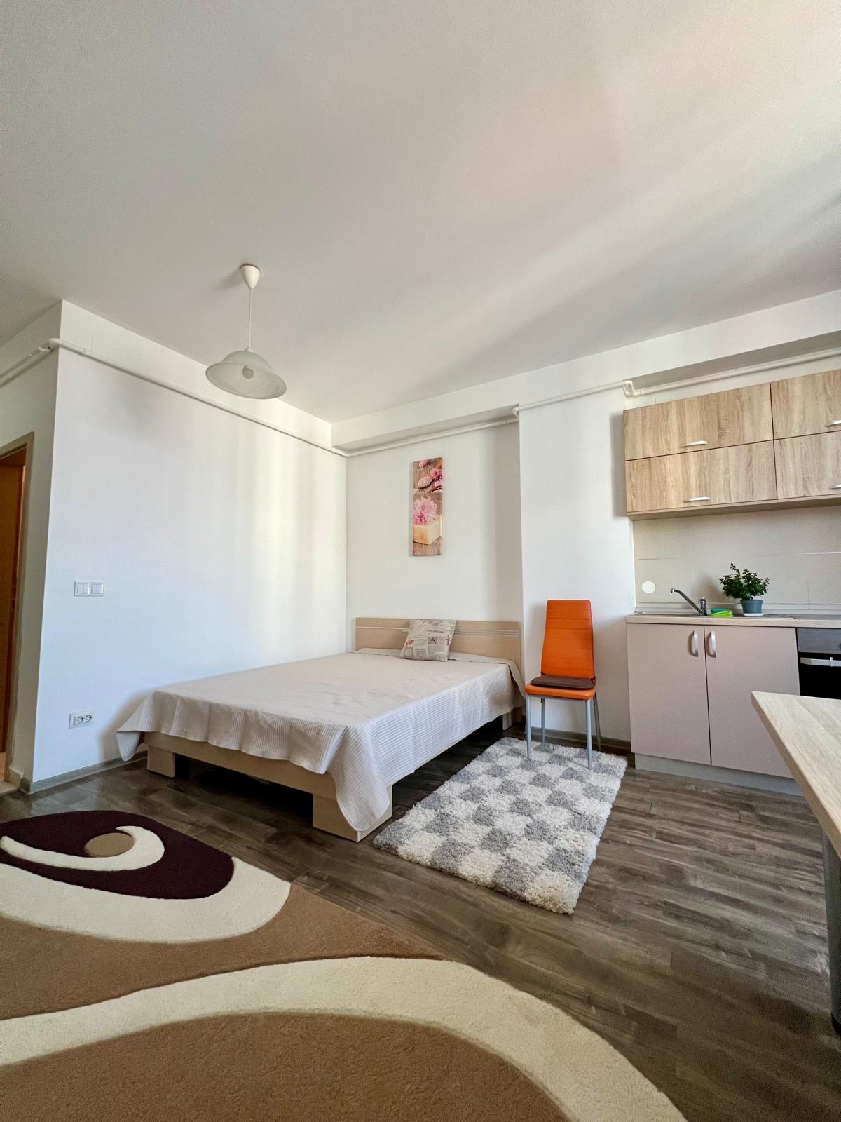 Apartament de inchiriat, o camera, <span>Open space</span>, <span>30</span> mp, <span>Tatarasi</span>,  (Tatarasi Sud )