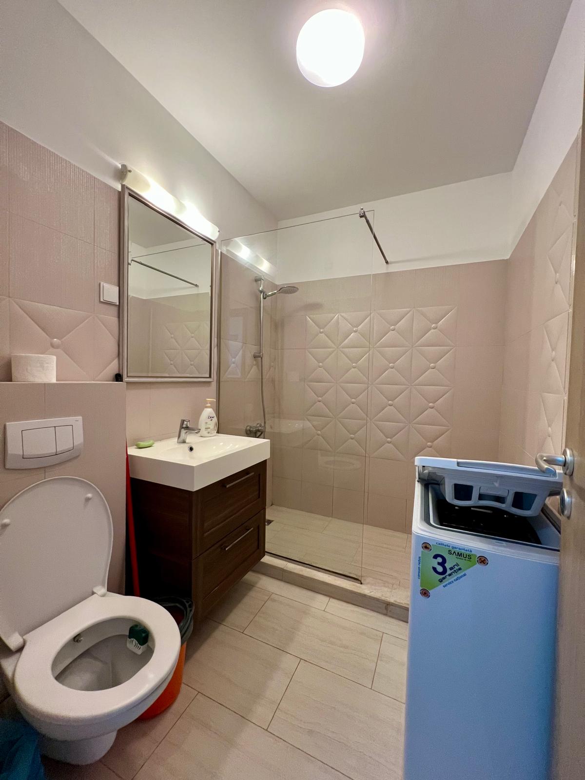 Apartament de inchiriat cu o camera in Iasi, zona Tatarasi - Poza 8