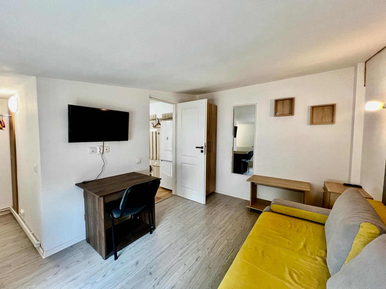 Apartament de inchiriat cu o camera in Iasi, zona Central - Poza 5
