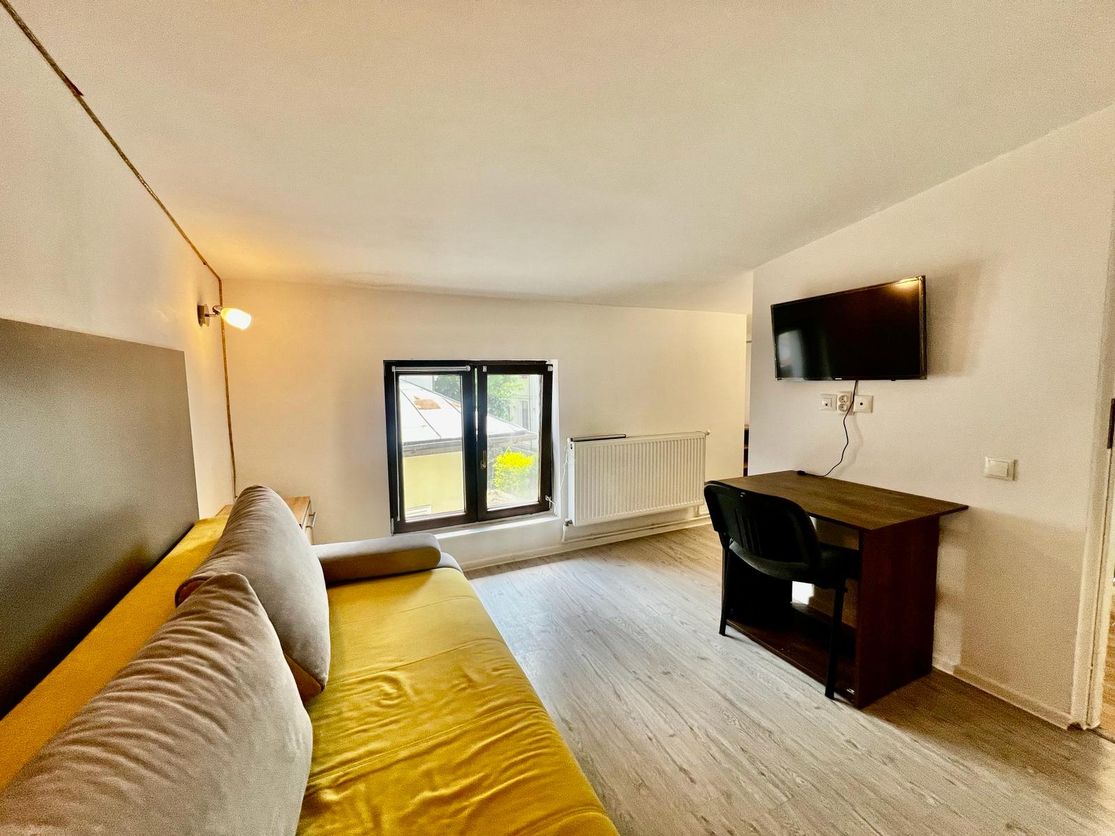 Apartament de inchiriat cu o camera in Iasi, zona Central - Poza 6