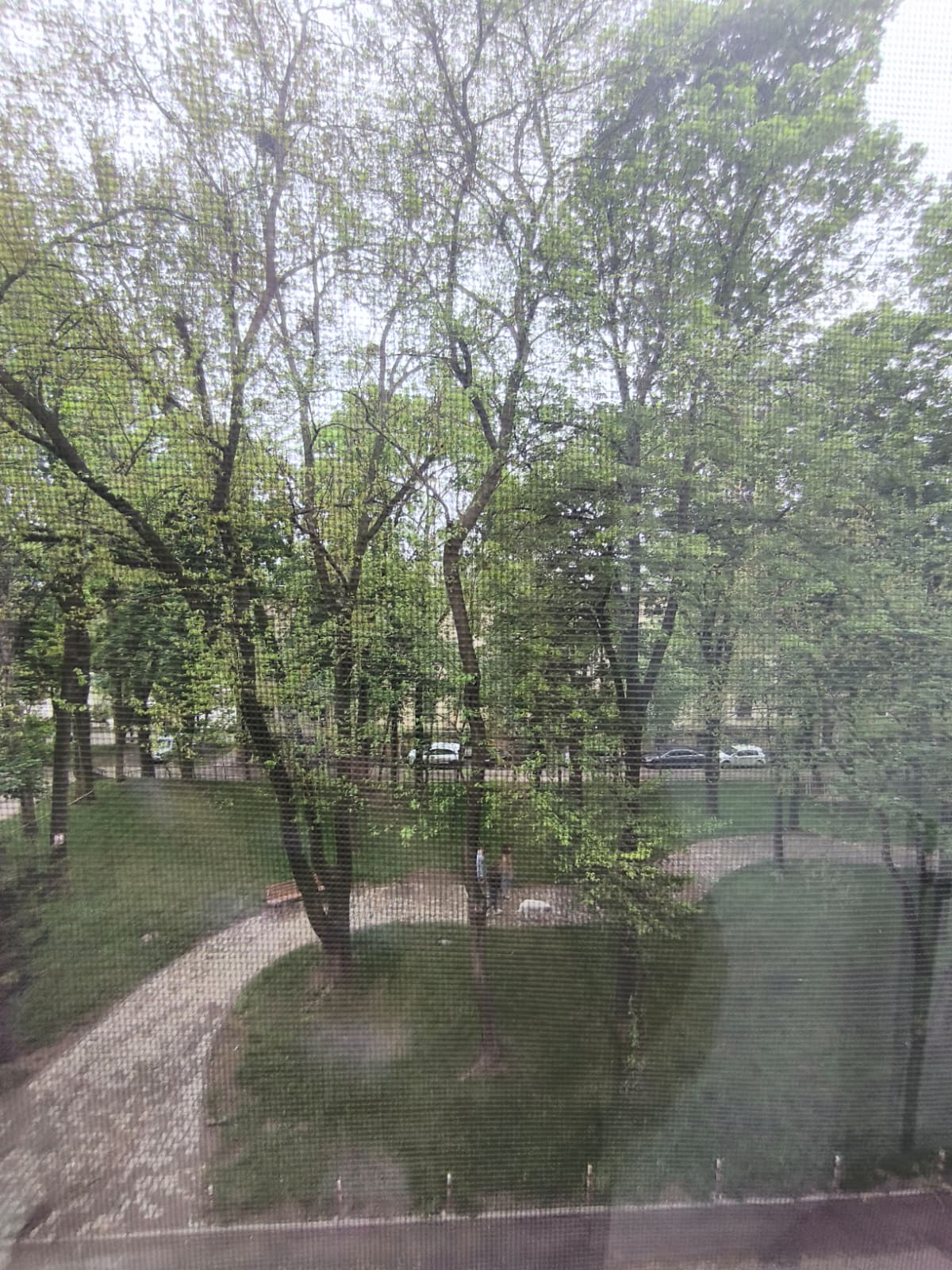 Apartament de vanzare cu 3 camere in Iasi, zona Copou - Poza 11