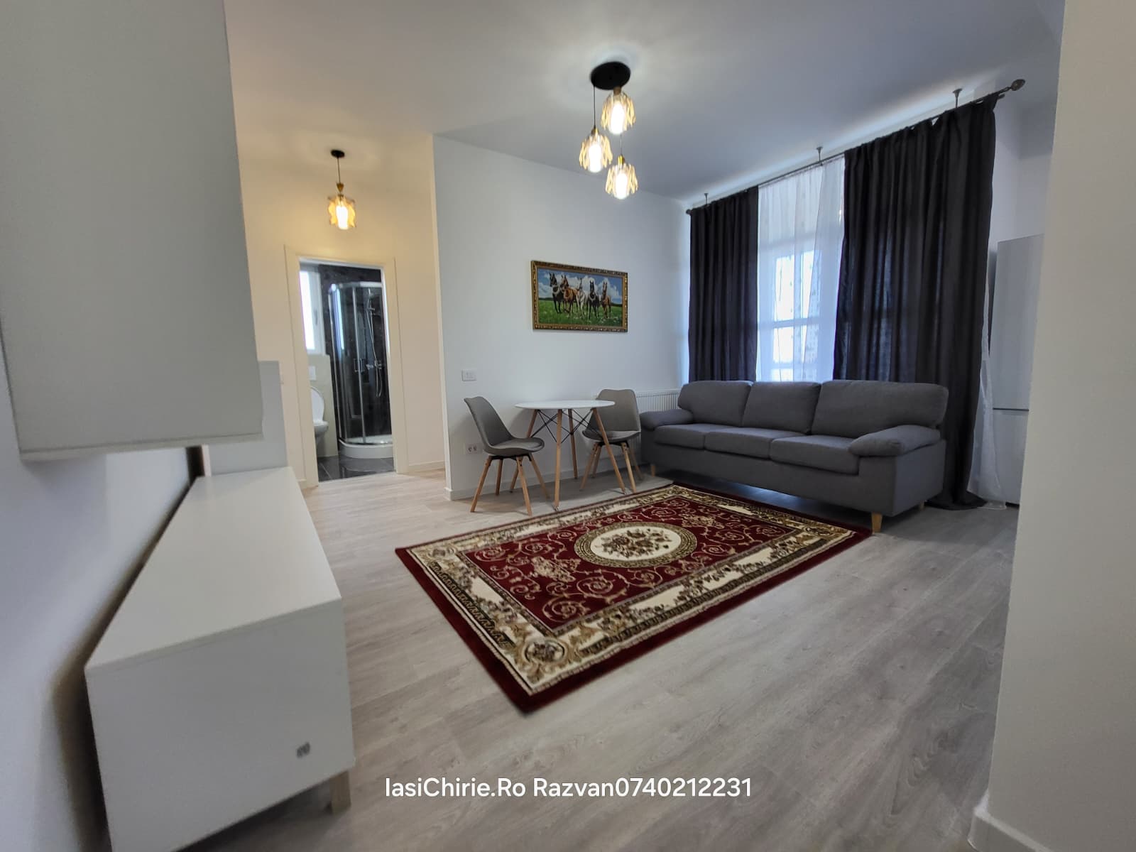 Apartament de inchiriat, <span>2</span> camere, <span>Open space</span>, <span>50</span> mp, <span>Lunca Cetatuii</span>,  (Cartier Visoianu)