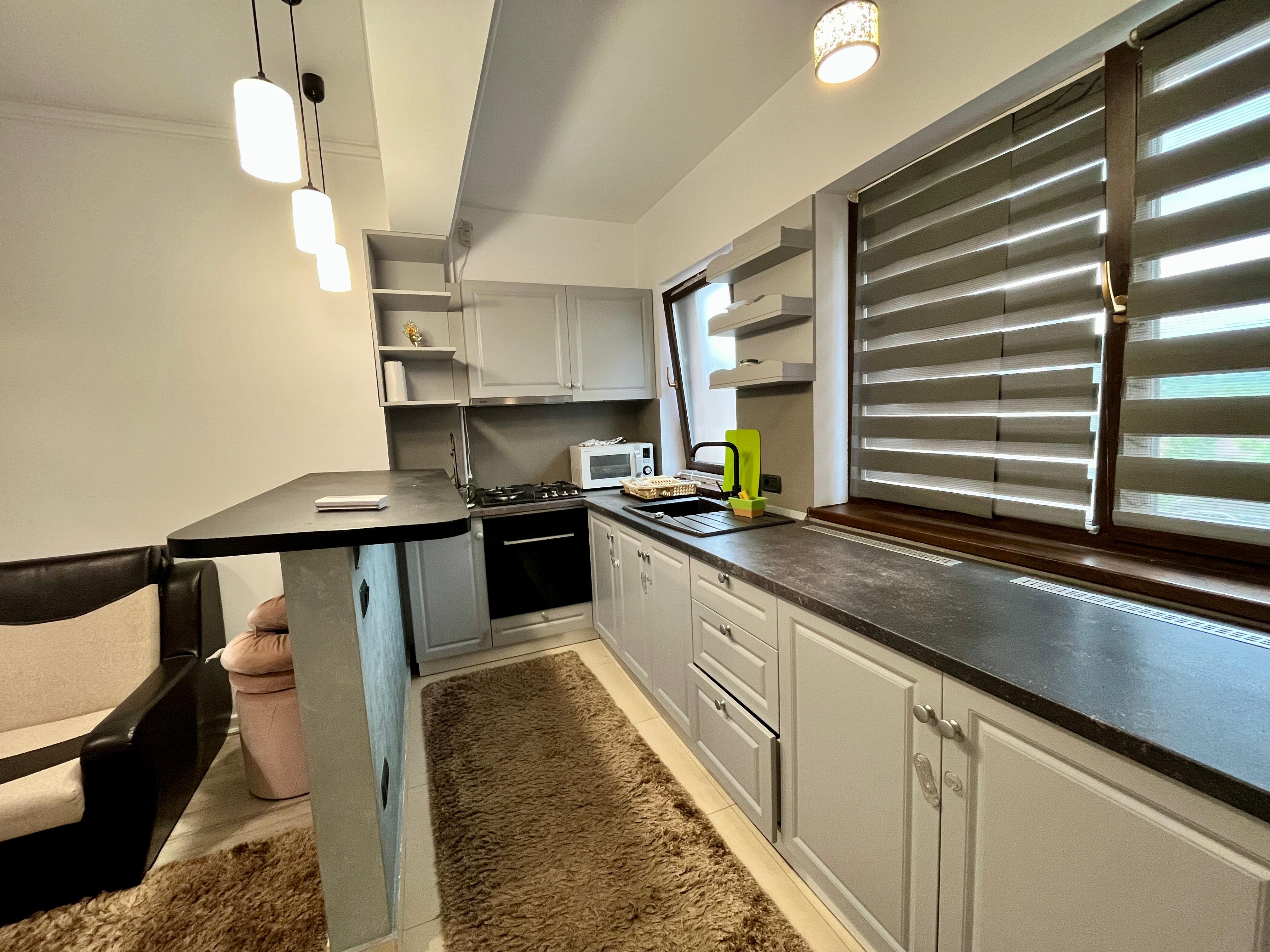Apartament de inchiriat cu 2 camere in Iasi, zona Valea Adanca - Poza 4